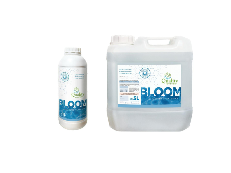Bloom 1 Lt.